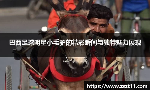 智博19有限公司